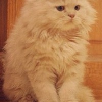 Олег Филимонов