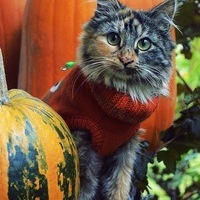 Алексей Косиновъ