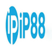 IP88 vin