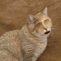 Павел Расанец