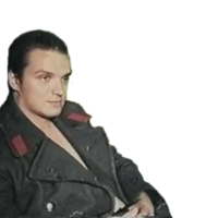 Drozd