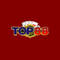 TOP88 CO