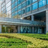 Tampa Tree & Lawn Care