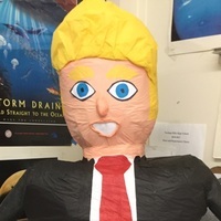 ThePoliticalAsshole