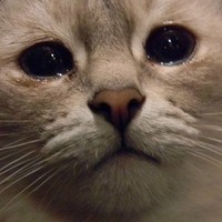1044