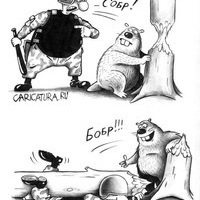 Николай Бобр