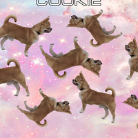 MushroomCookie