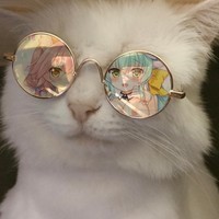 Pookslim
