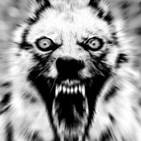 Roterhund