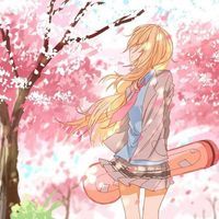 AniHmm