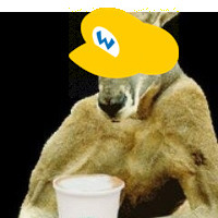 Ernesto Roo