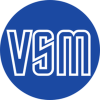 seowebsitevsm