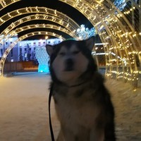Петр Никифров
