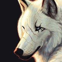 My Wolf
