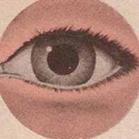 Julia Loskutova