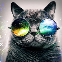 RockCat Forever