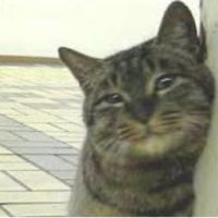 Матвей Котов