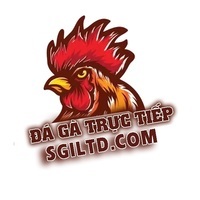 TRỰC TIẾP ĐÁ GÀ THOMO