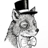 MrArticFox
