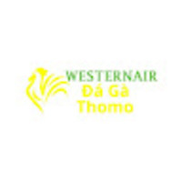Đá Gà Trực Tiếp Thomo