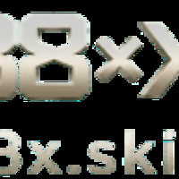 88xskin