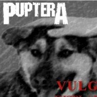 Puptera