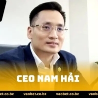 CEO Nam Hải