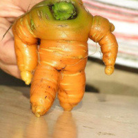 Tramparam Parampampam