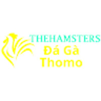 Đá Gà Trực Tiếp Thomo