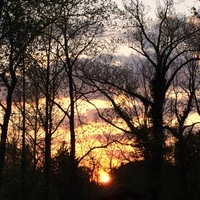 Steve_stanforth