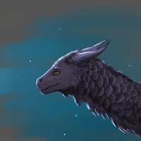 Black Aures