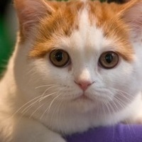 Евгений Лосоногов