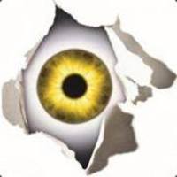 L1Q