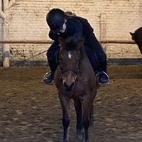 Pixels9