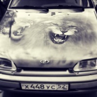 Руслан Соколов