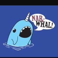 Nitro Narwhol