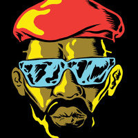 RAZR Freeman