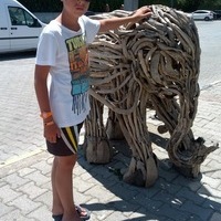 Марк Моисеев