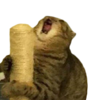 Дмитрий Попов