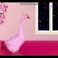 Felowill