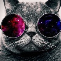 Игорь Костин