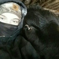 AGirlAndHerCows