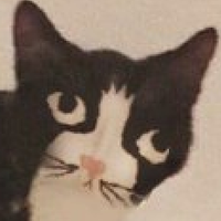Чё кого