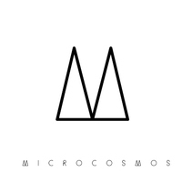 Sergey Microcosmos