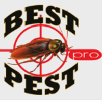 Jersey City Exterminators