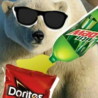 Dat_MLG_bear