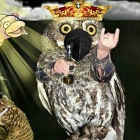Fazashow