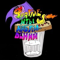 Фрагменты Наблюдений