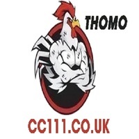 ĐÁ GÀ TRỰC TIẾP CC111