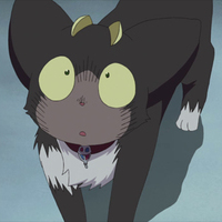 Anime instead of sleep